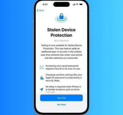 庆元苹果授权维修店分享被盗设备保护功能开启方法 