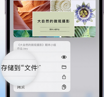 庆元apple维修中心分享iPhone文件应用中存储和找到下载文件