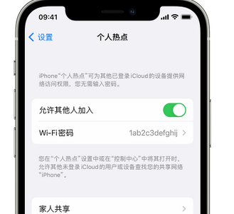 庆元apple服务站点分享iPhone上个人热点丢失了怎么办 