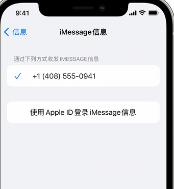 庆元apple维修iPhone上无法正常发送iMessage信息 