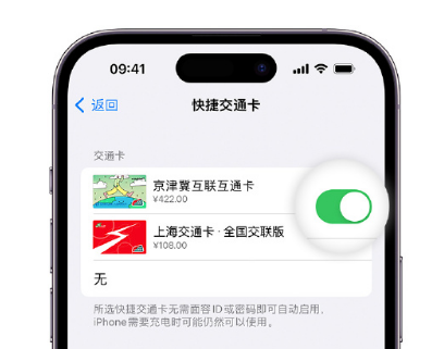 庆元apple维修点分享iPhone上更换Apple Pay快捷交通卡手绘卡面 