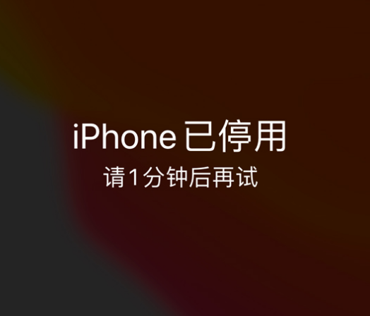 庆元苹果手机维修分享:iPhone 显示“不可用”或“已停用”怎么办？还能保留数据吗？ 