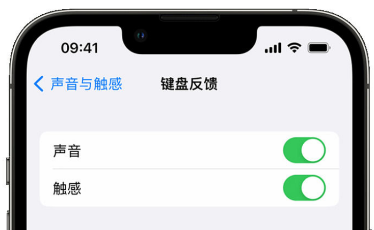 庆元苹果手机维修分享iPhone 14触感键盘使用方法 