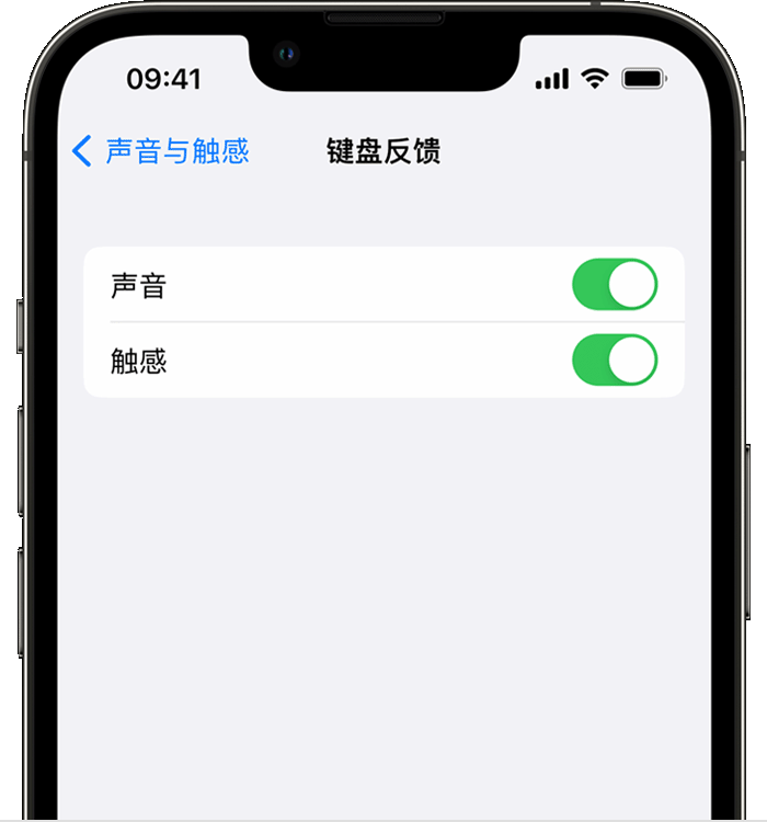 庆元苹果14维修店分享如何在 iPhone 14 机型中使用触感键盘 