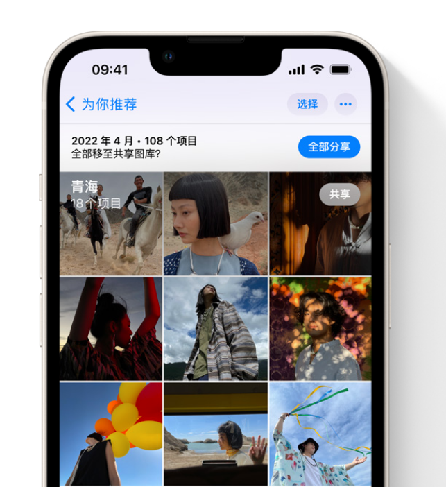 庆元苹果维修网点分享在 iPhone 上使用共享图库 