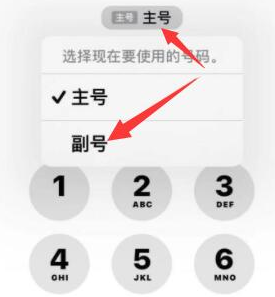 庆元苹果14维修店分享iPhone 14 Pro Max使用副卡打电话的方法 