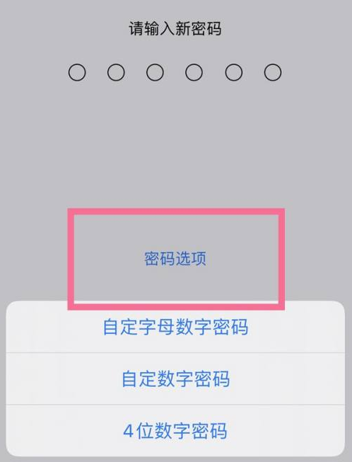 庆元苹果14维修分享iPhone 14plus设置密码的方法 