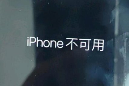 庆元苹果服务网点分享锁屏界面显示“iPhone 不可用”如何解决 