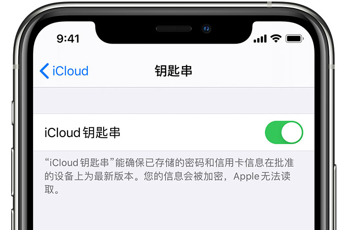 庆元苹果手机维修分享在 iPhone 上开启 iCloud 钥匙串之后会储存哪些信息 