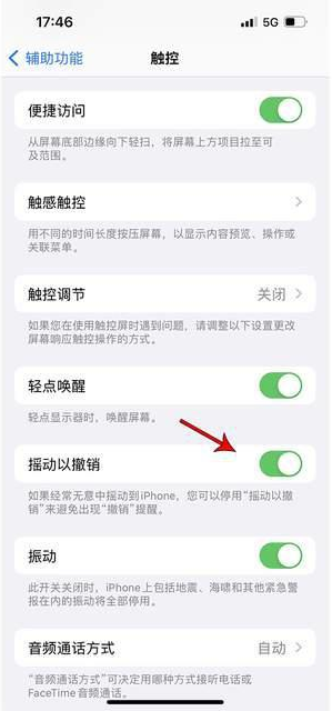 庆元苹果手机维修分享iPhone手机如何设置摇一摇删除文字 