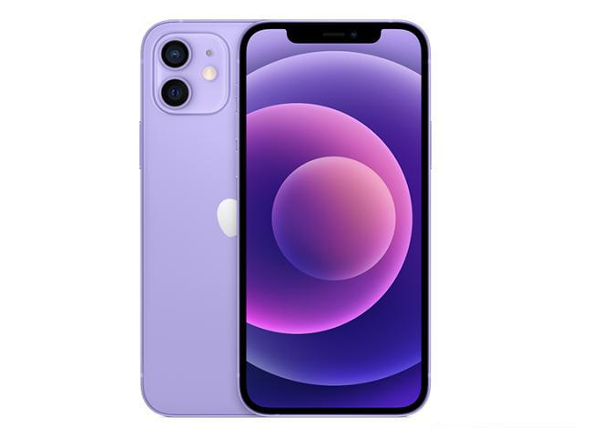 庆元苹果手机维修分享现阶段要不要入手紫色版iPhone12 